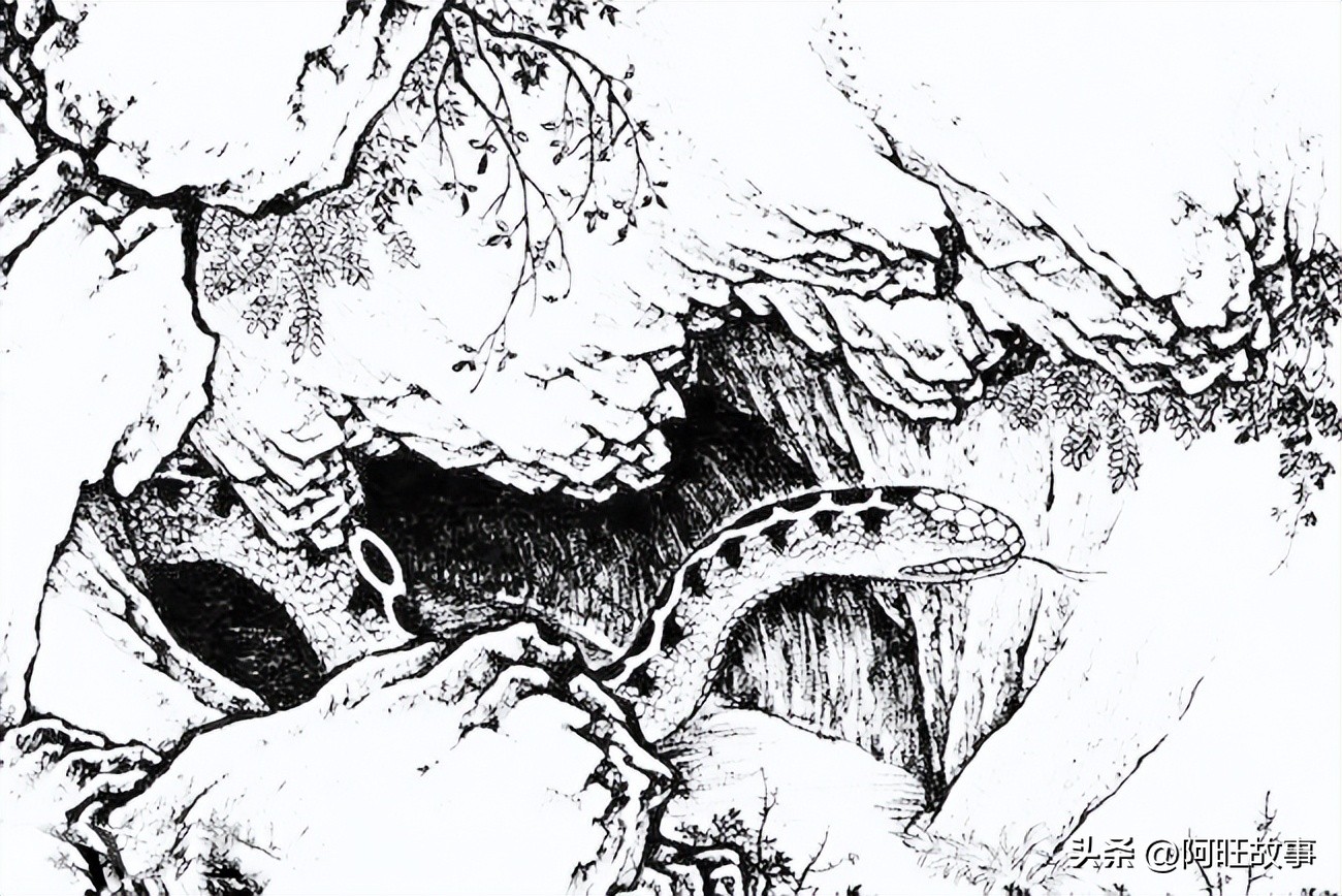 民间故事：县令贪淫，巨蛇吐出一颗珠子，泼皮惊叫：这是夜明珠！