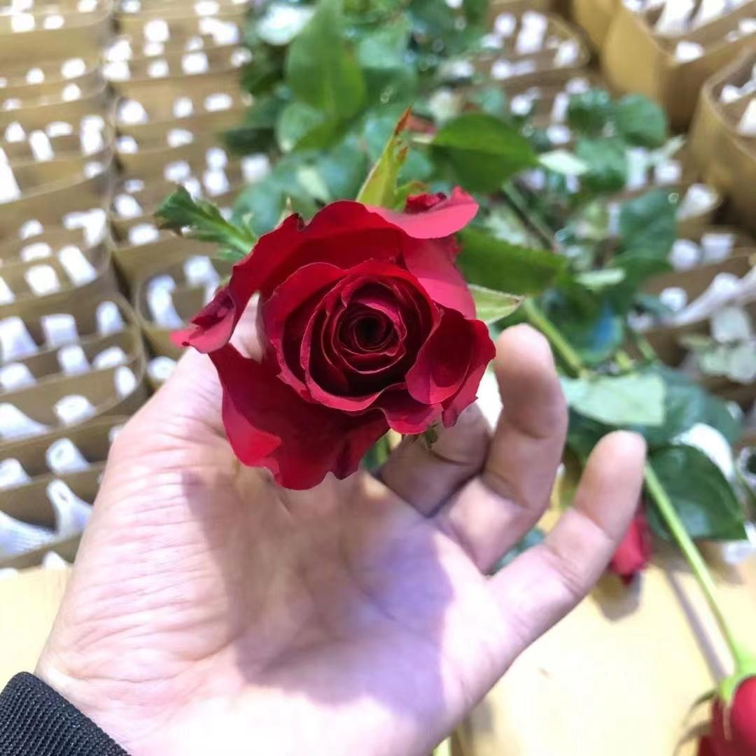 鲜花批发商卖货渠道,鲜花批发商的进货渠道及注意事项