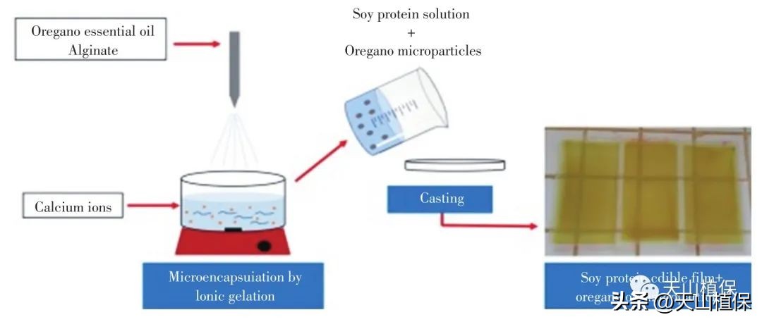 大豆全产业加工研究进展详情,大豆加工什么最有前途