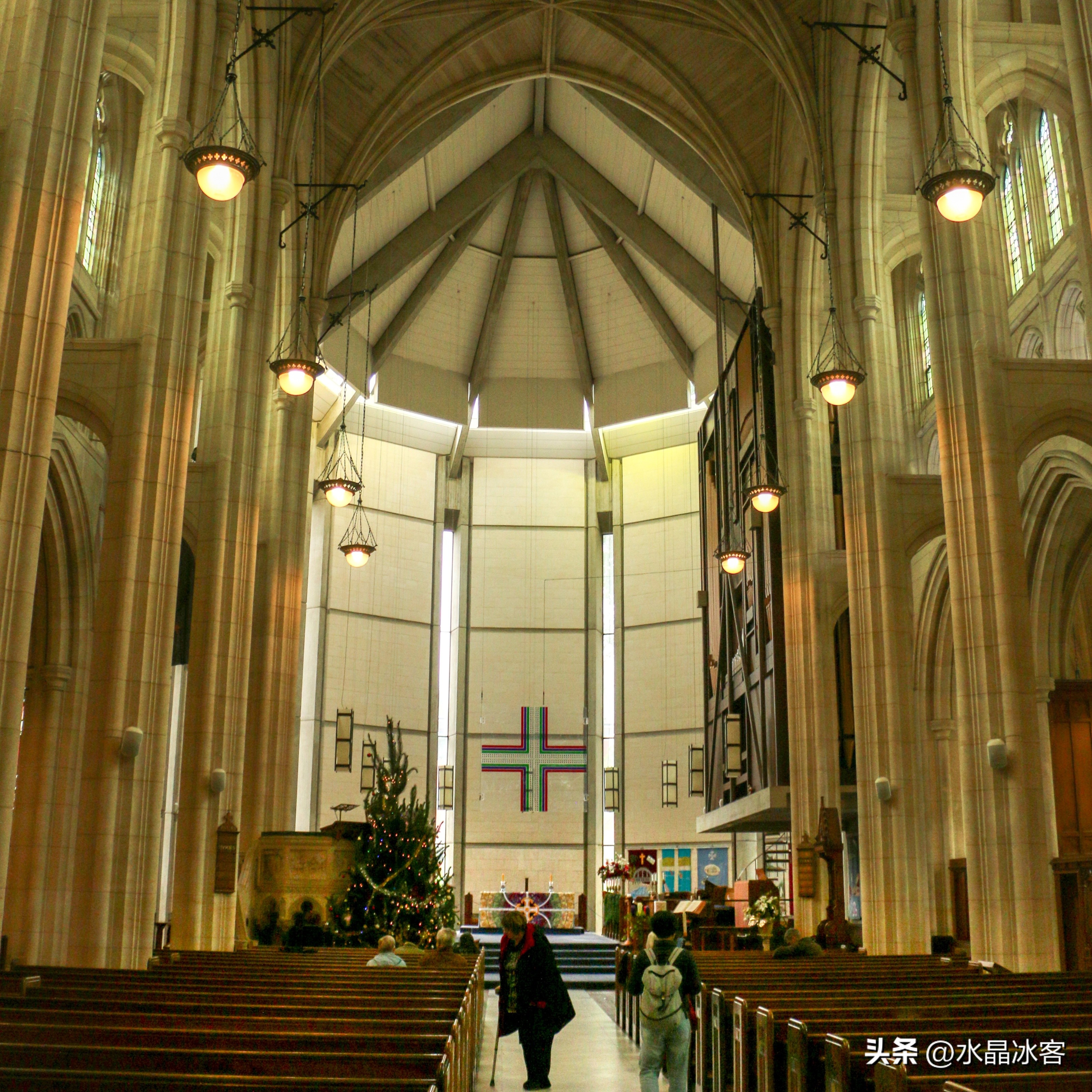 南岛新西兰之旅,新西兰之南岛