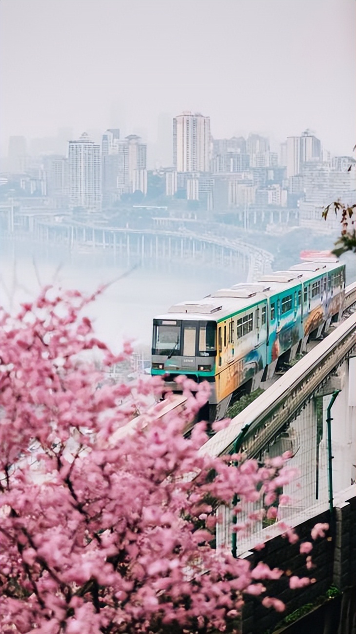 高考顺利！欢迎你来重庆，续写与重大的未来故事