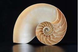 矩道化学虚拟仿真实验室免费,矩道科技虚拟仿真实验室