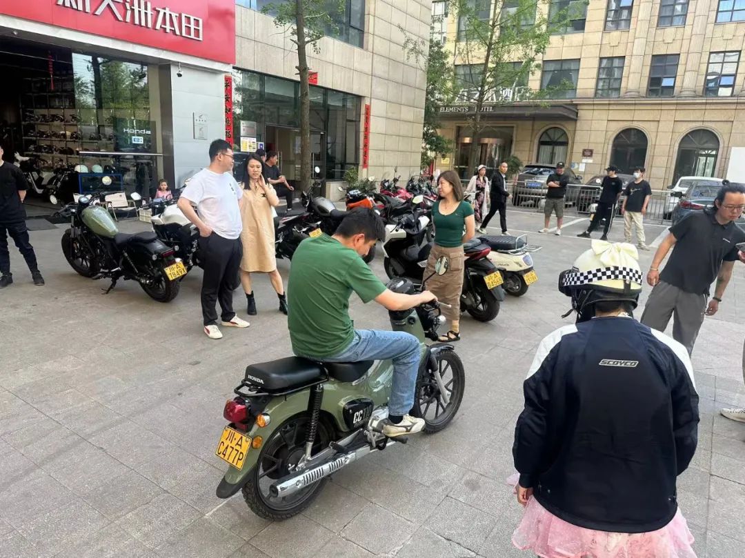 本田幼兽cc110盲盒,本田幼兽110cc