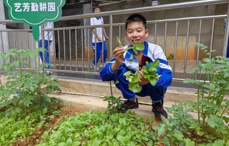 长沙市实验中学素质教育基地,长沙市芙蓉区打造幸福教育升级版