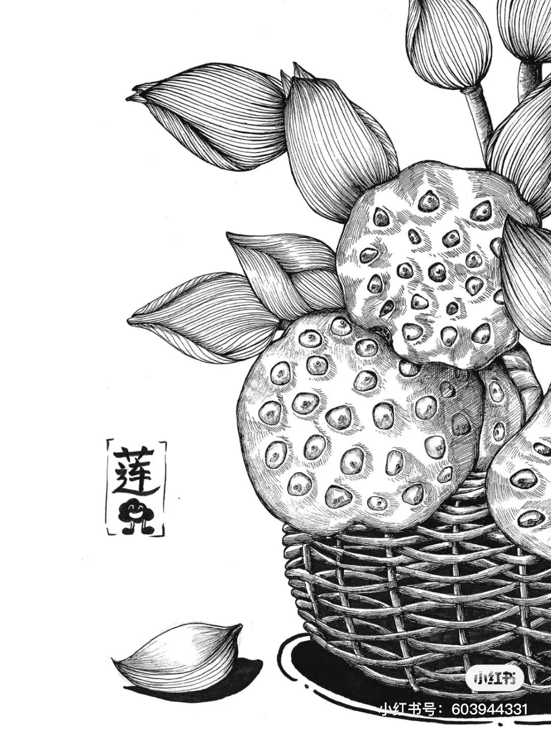 针管笔画线条练习,针管笔黑白装饰画线描