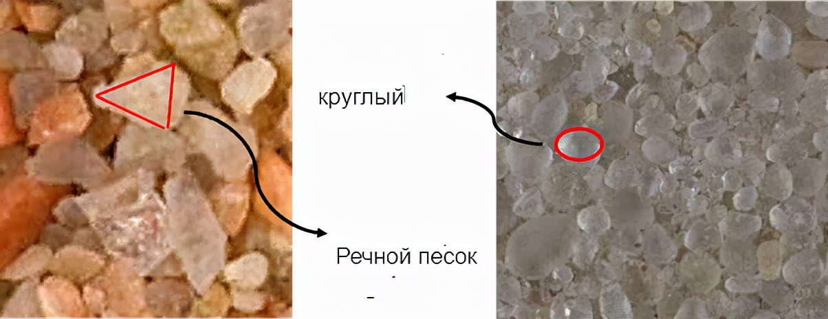 沙特为什么要从澳大利亚进口骆驼,沙特为什么进口沙子
