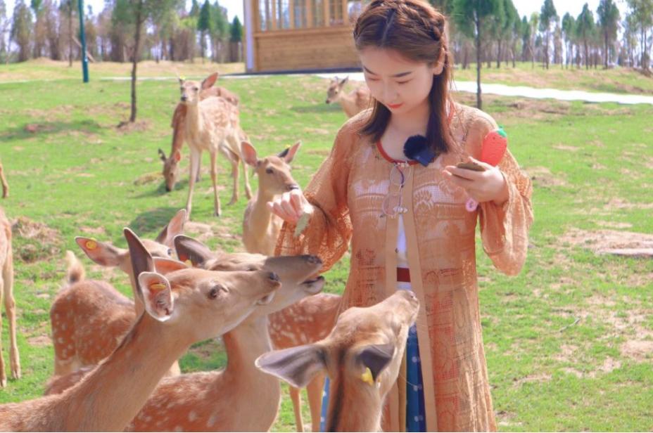 郑州夏天避暑游玩好地方,郑州夏天避暑游玩好去处