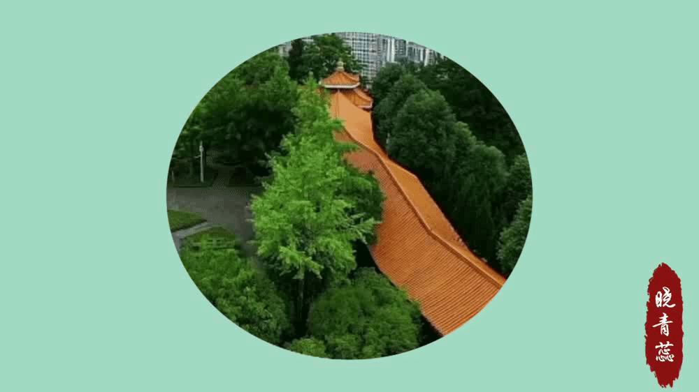 四川巴中是怎么样的,巴中的地理位置对四川有多重要