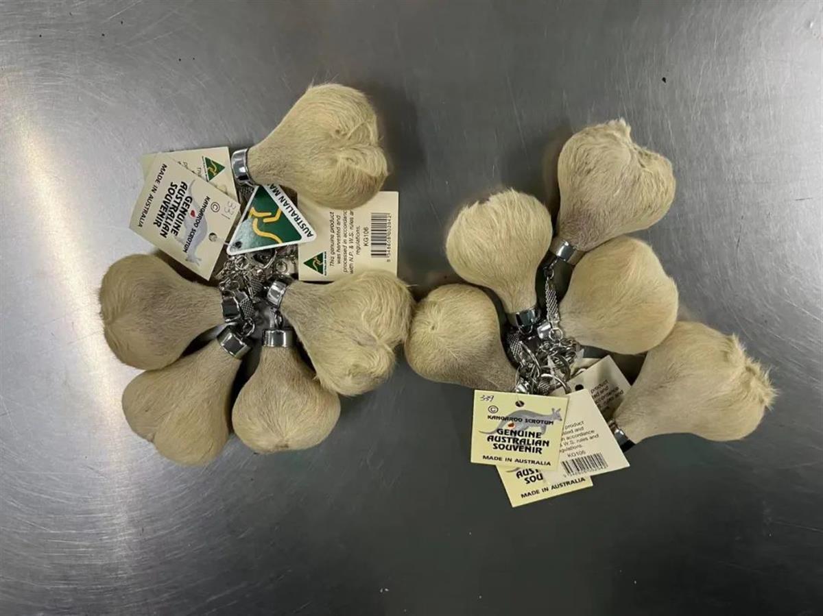 澳大利亚袋鼠皮钥匙扣,终于知道袋鼠袋子里装的是啥