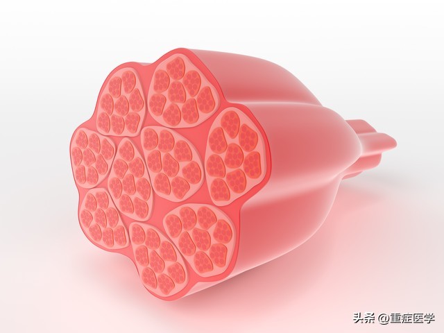 肌钙蛋白高是心梗还是心肌炎,肌钙蛋白i跟肌钙蛋白t区别