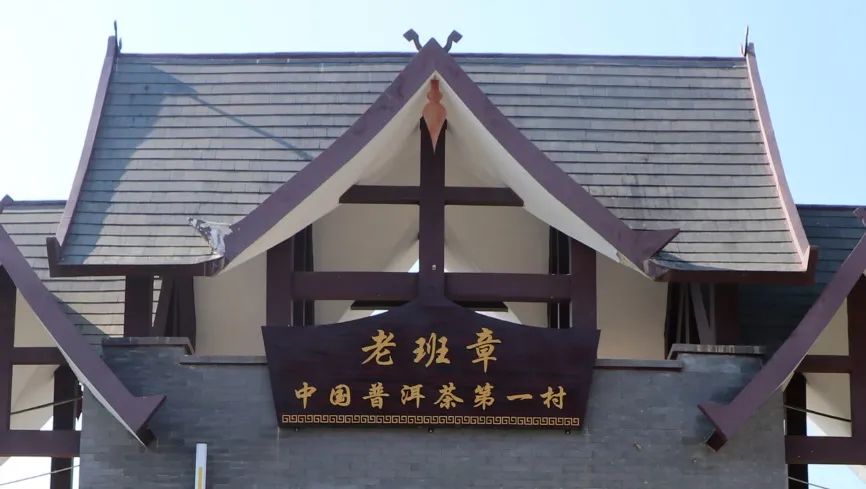 普洱茶各大山头的特性和口感图文,普洱茶老茶头的口感特点有哪些