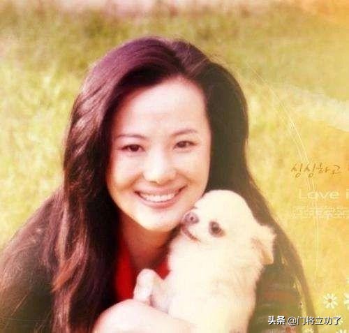 栾树王菲,咏梅栾树王菲