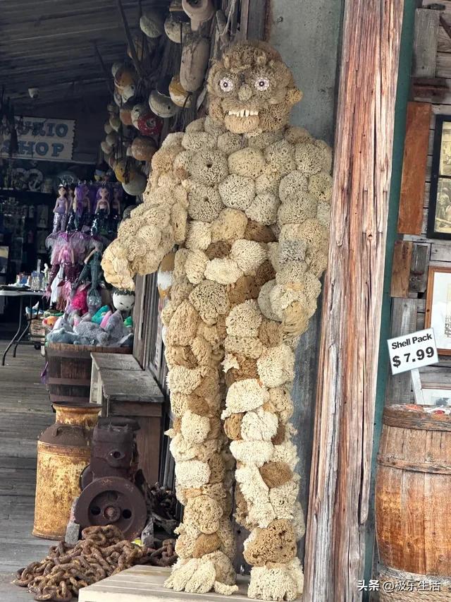 炎炎夏日给您带来视觉上的凉爽,发几张夏天炎热的图片