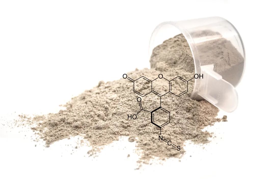 增肌减脂选择什么蛋白粉,新手减脂增肌选什么蛋白粉