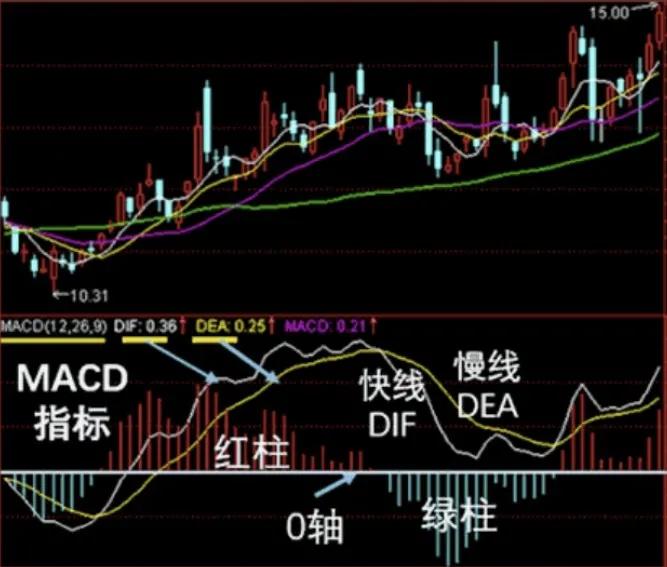 炒股必学基础知识,炒股基础知识入门教学