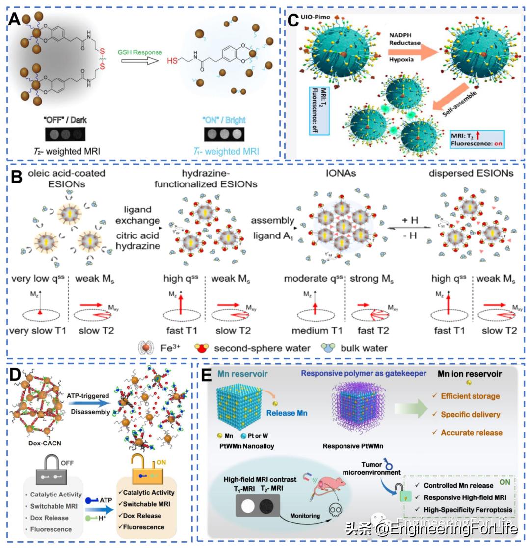 纳米材料抗肿瘤药物怎么用,新型纳米材料治疗肿瘤