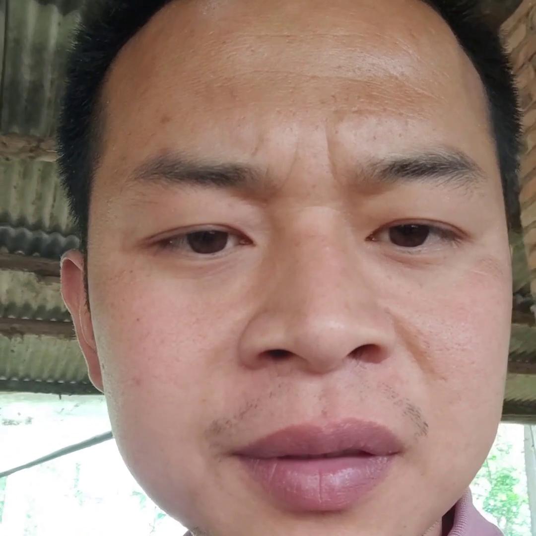 在山上养羊赚钱吗,养羊最赚钱的行业