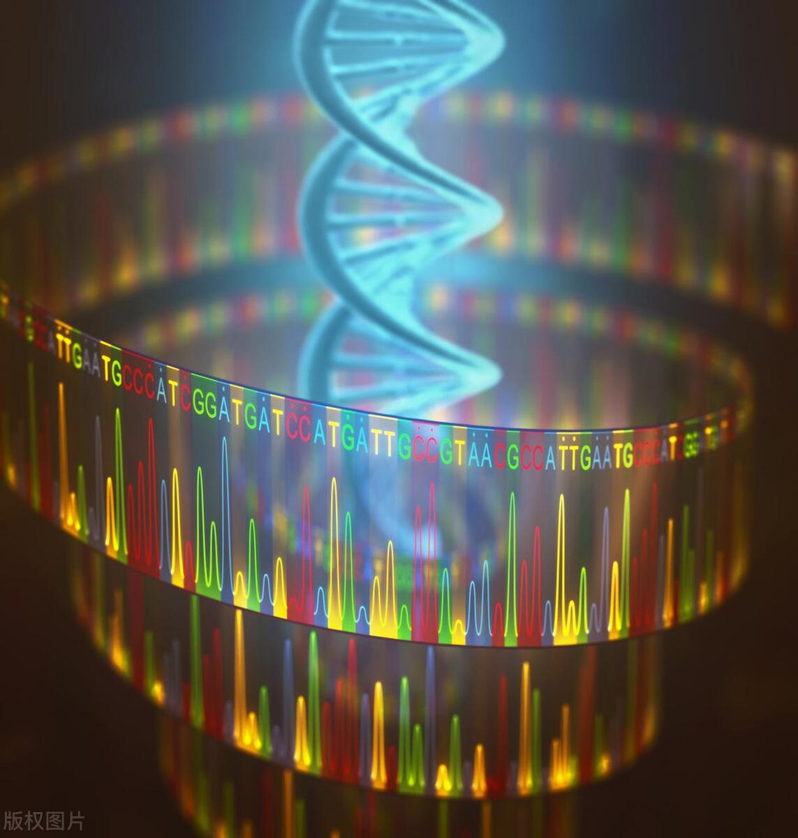 肺部神经内分泌肿瘤怎么治疗,肺大细胞神经内分泌癌2b属于几期