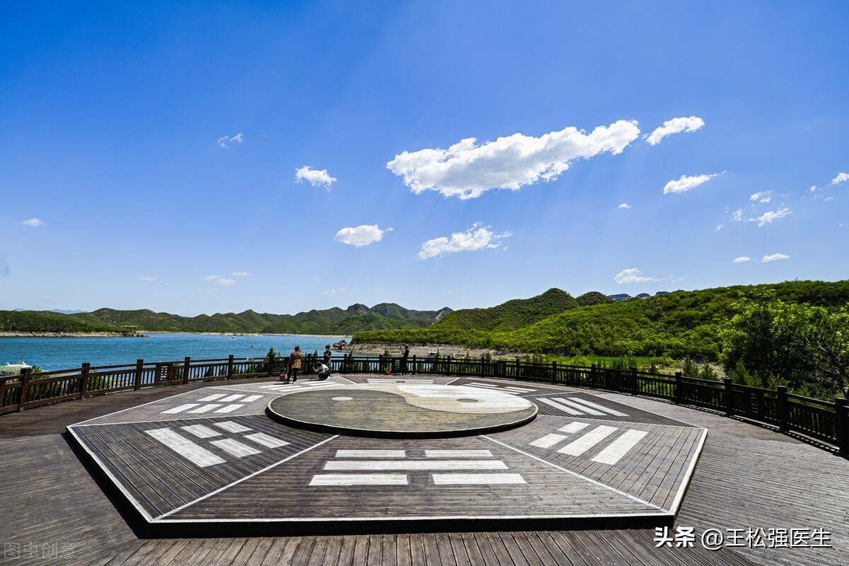 中医八治法,中医针灸临床八法下