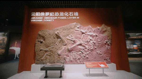 重庆自然资源科普馆要门票不,重庆自然资源科普馆一共几个馆