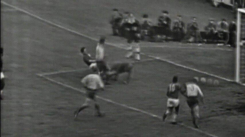 桑巴荣耀足球,桑巴舞者球王贝利