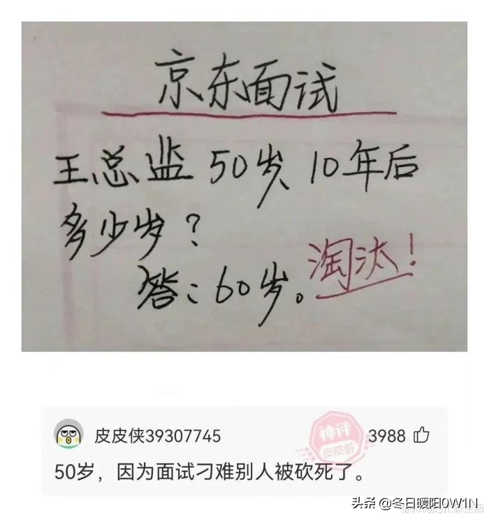 学生适合在宿舍里养的小宠物,在宿舍偷偷养的小宠物