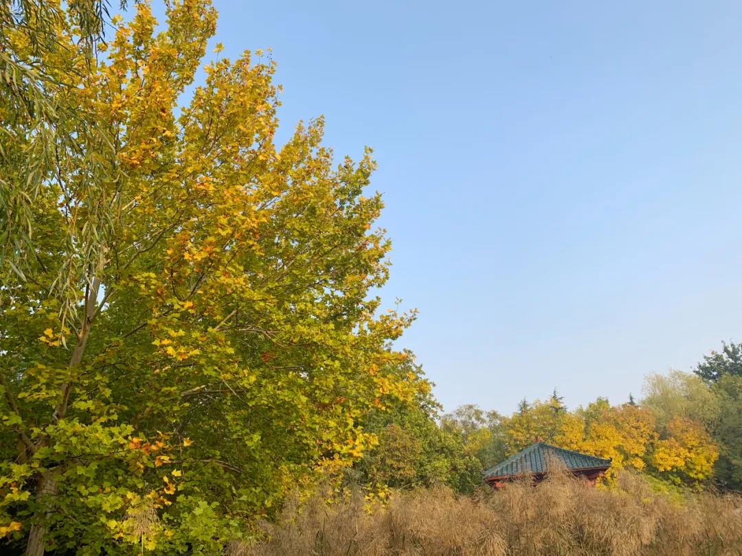 郑州研学景点简介,郑州研学旅行基地有哪些