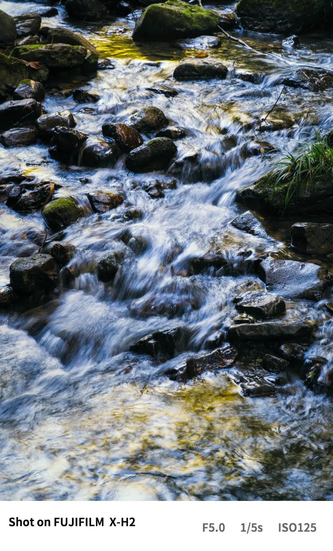 富士xh2高像素评测,富士XH2和XH2S视频性能对比