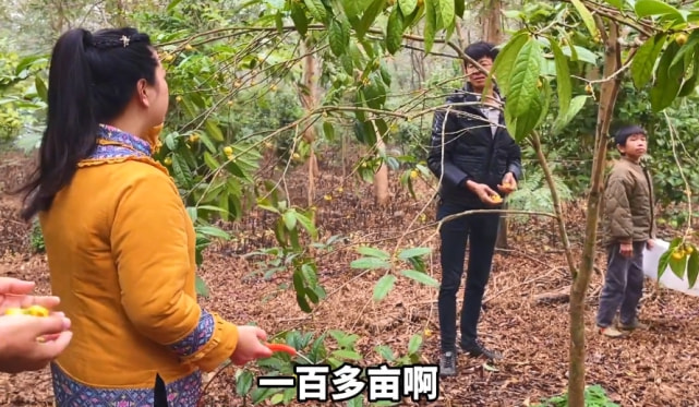 康仔身家,康仔有多少资产