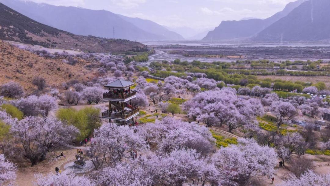 龙泉山看桃花徒步最佳路线,徒步穿越十里桃花漫山遍野