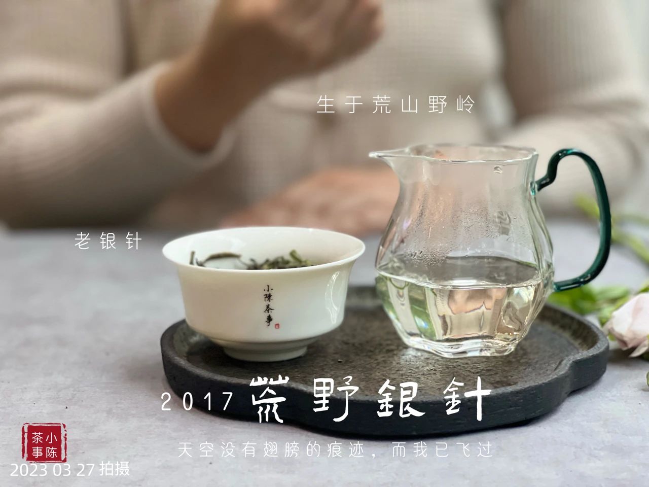 白毫银针口感怎么样,白茶知识白毫银针