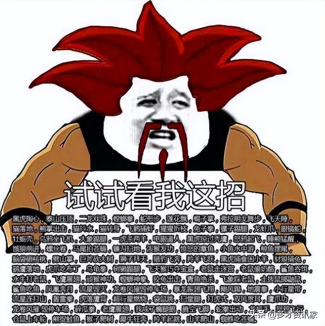 乌鸦坐飞机成龙历险记,乌鸦坐飞机小猴坐飞机