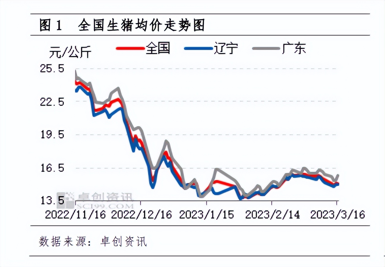 非洲猪瘟或卷土重来？牧原、新希望、大北农这样说