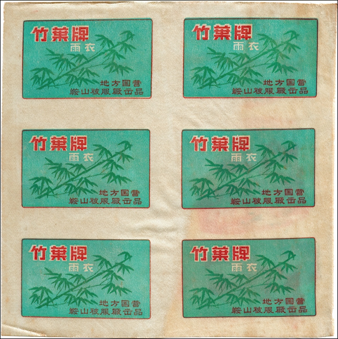 收藏竹子品种,收藏的竹子