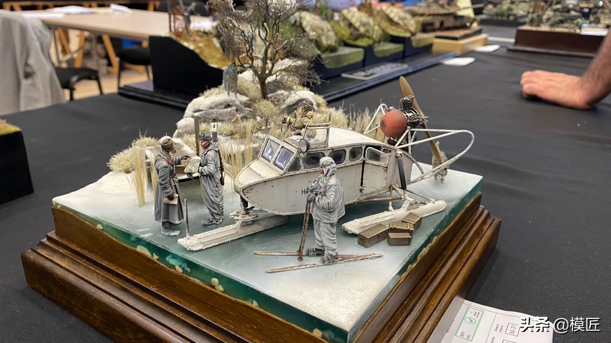 匈牙利莫森金奖,莫森模型展