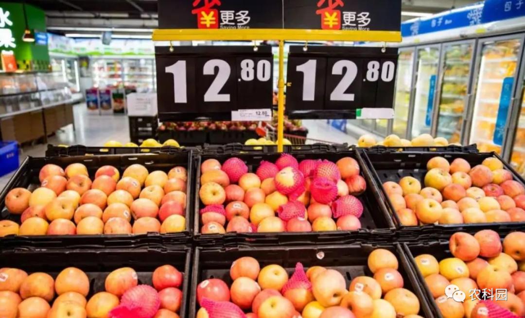 红将军苹果价格,红元帅苹果今日价格