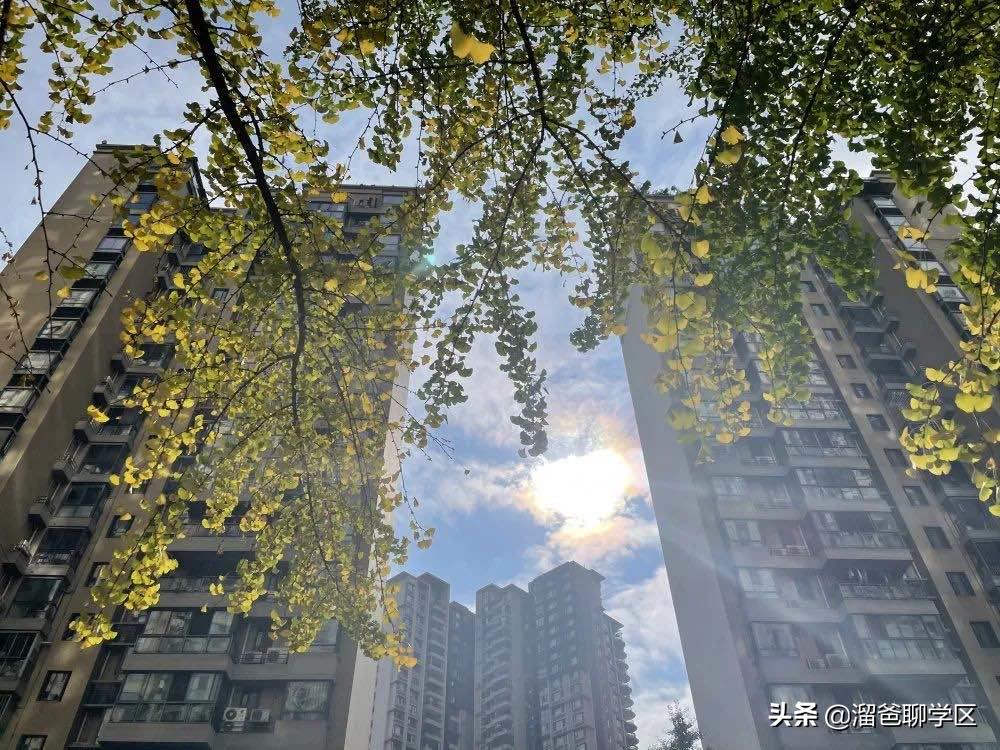 小学初中一定要好好规划,居住条件怎么改善