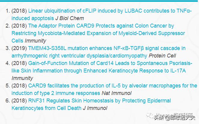 深度解析nfc,nf-rb信号通路