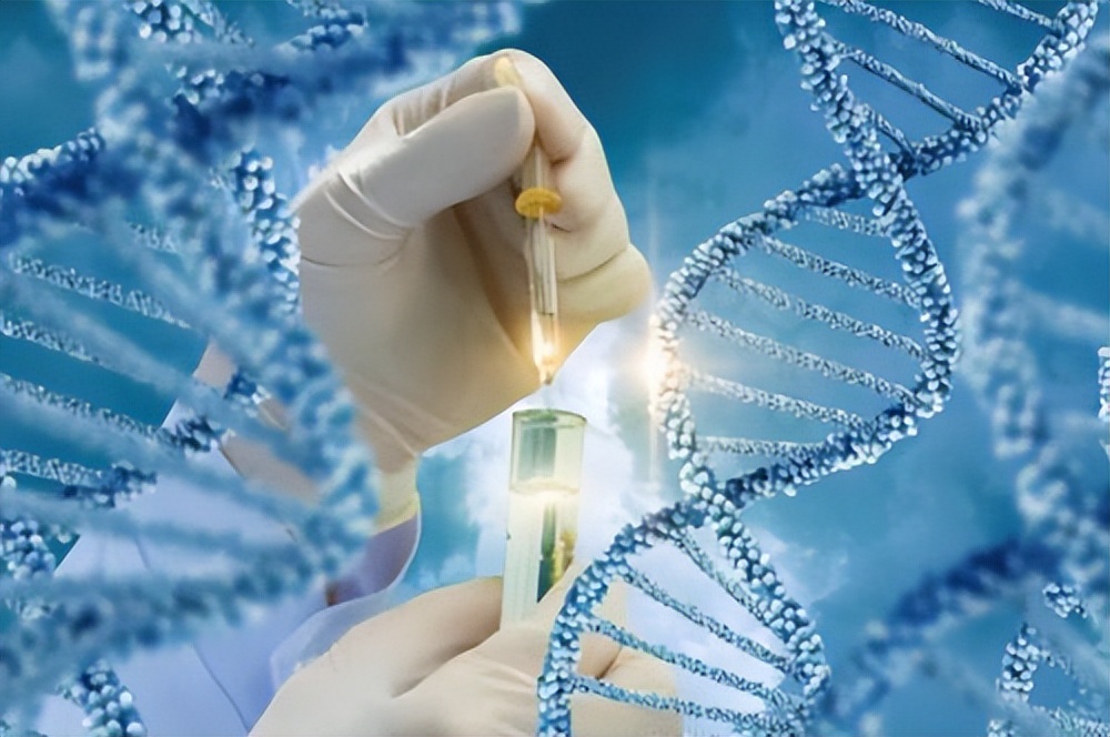 猪油渣是健康还是堵塞血管,猪油渣能防癌吗