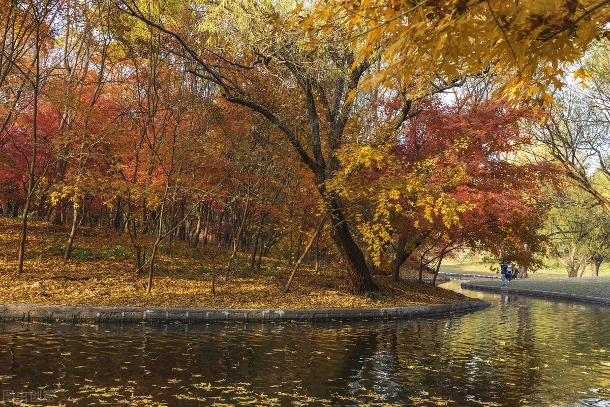 秋日上海好去处,上海秋日风景