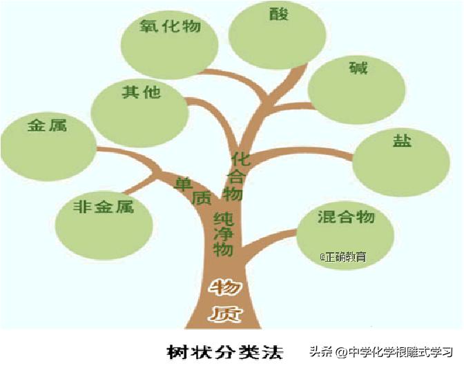 人体摄入物质分类,物质的分类导学案