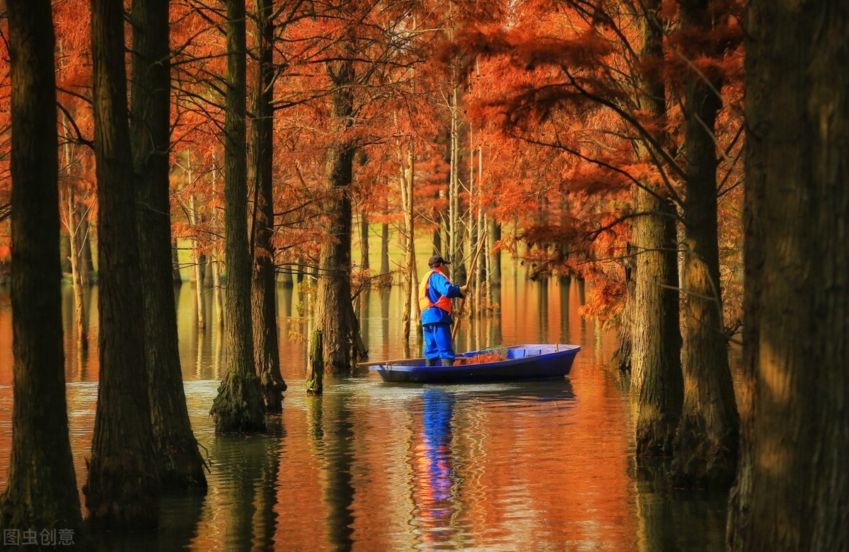 秋日上海好去处,上海秋日风景