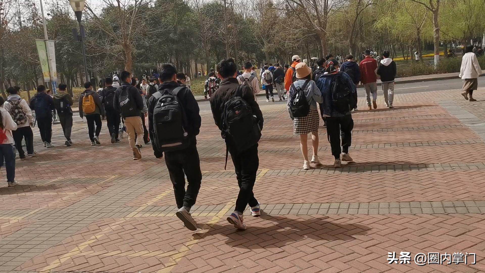 与其说都上大学了，谁回去种地，不如说何不食肉糜？