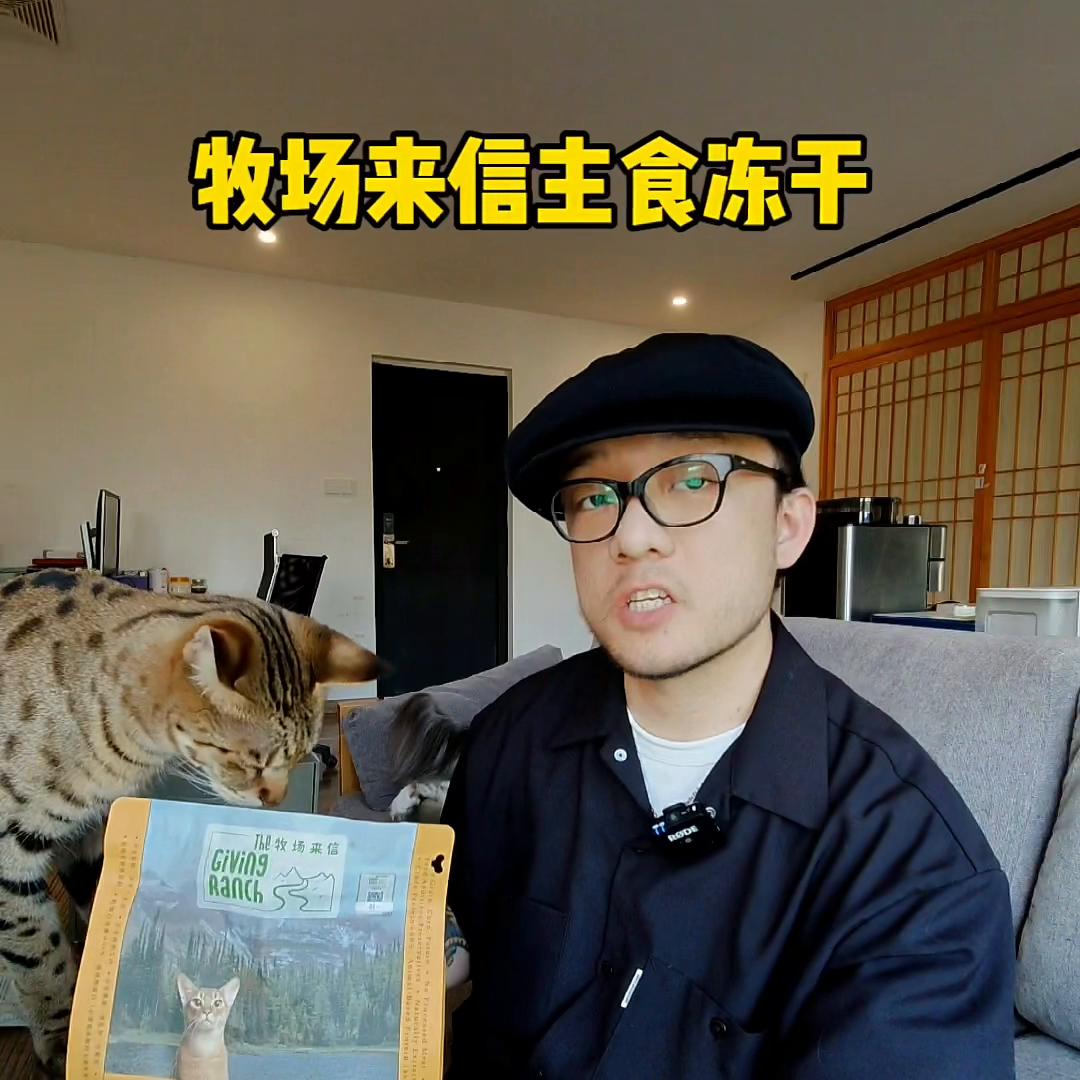 幼猫长肉发腮冻干推荐,美毛长肉的猫粮