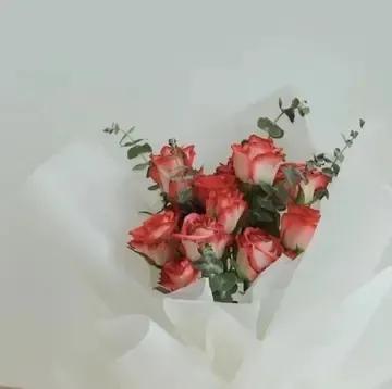 文案高清背景图干净治愈,背景图干净治愈系高清