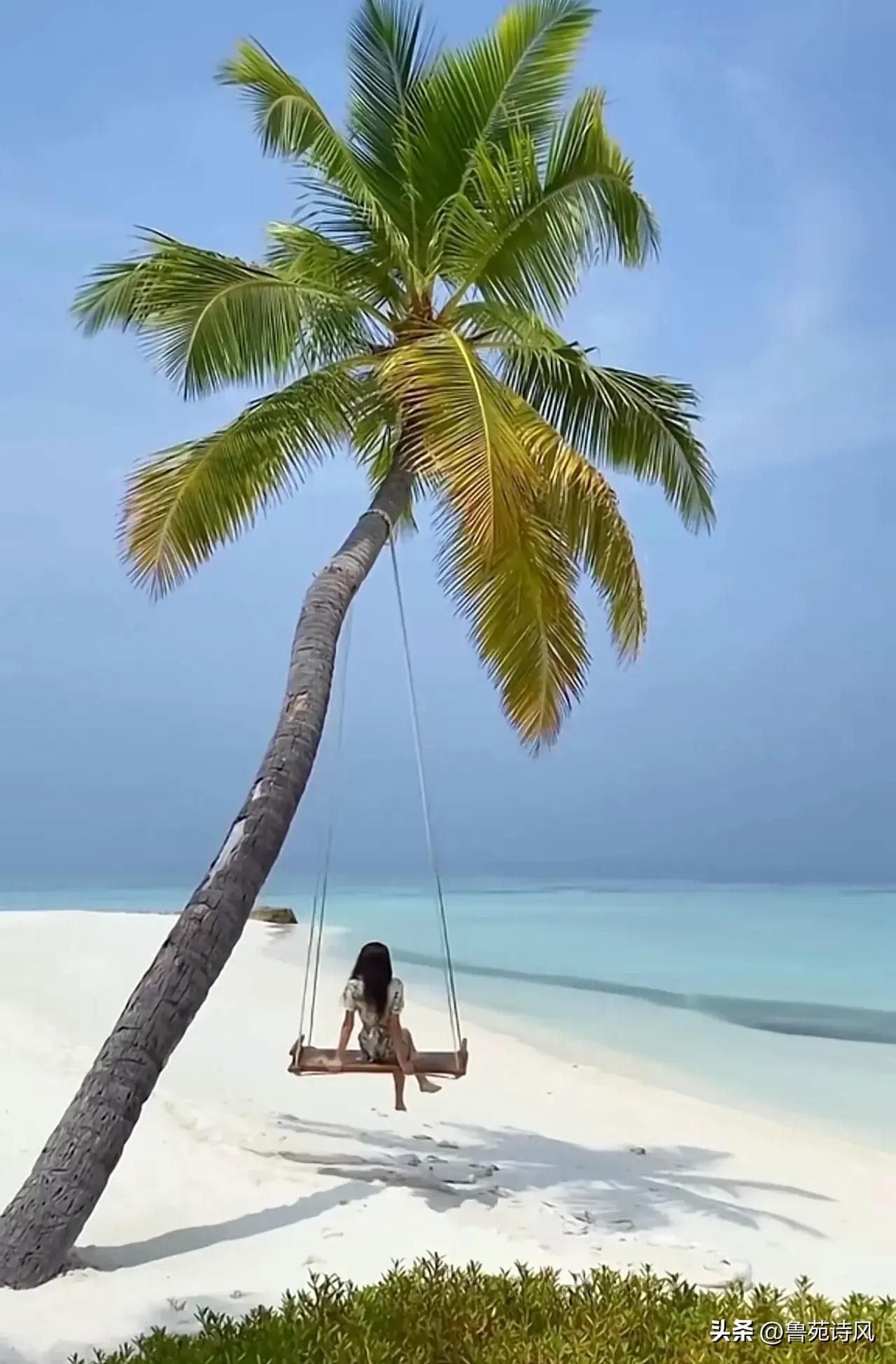 赚取流量的方式都有哪些,博取流量的手段有啥