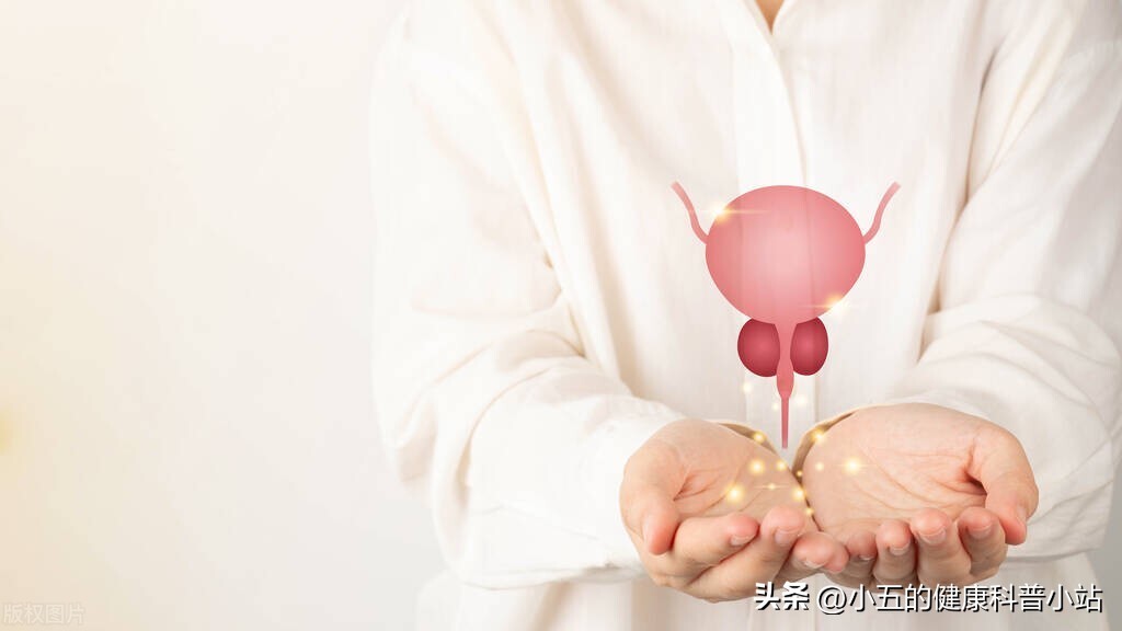 清热利湿通淋前列腺药有哪些,治前列腺炎清热利湿的中草药