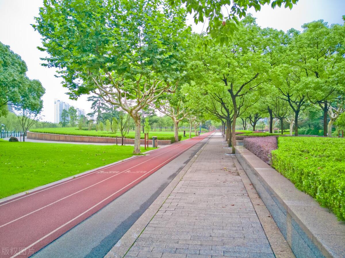 400米跑道尺寸详细,标准足球场跑道尺寸图