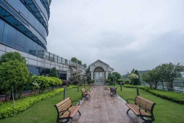 美食与美景交织,端午来顺德畅玩一夏