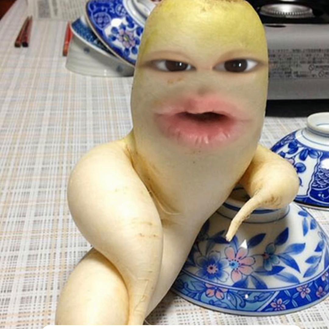 养猫如何改善口腔疾病症状,猫口腔健康判断方法有哪些